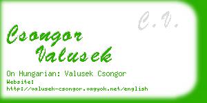 csongor valusek business card